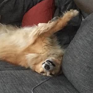 Meet your Posher, Jeff